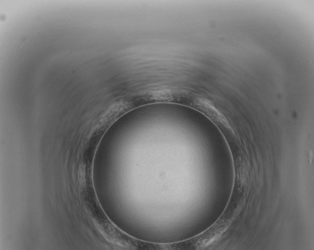 X0000073720213200608101912