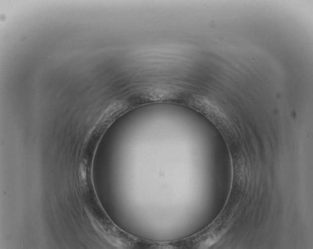 X0000073720214200608101912