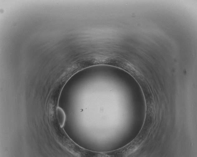 X0000073720215200608101912