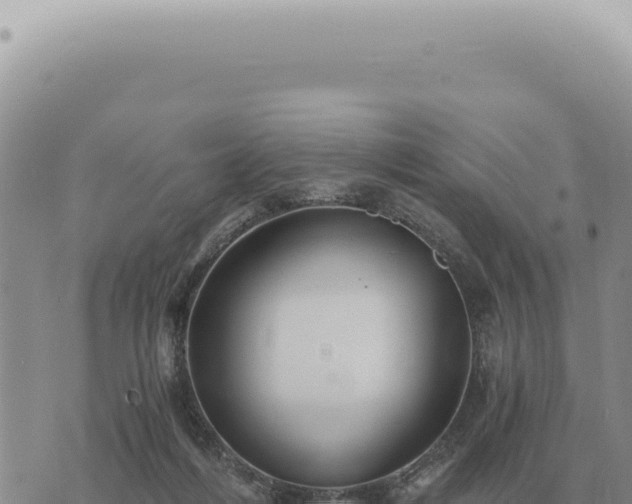 X0000073720216200608101912