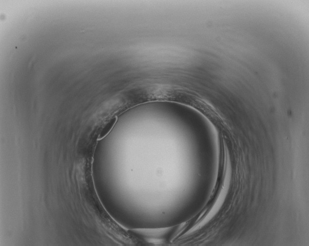 X0000073720217200608101912