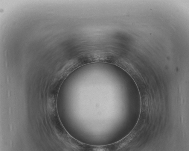 X0000073720218200608101912