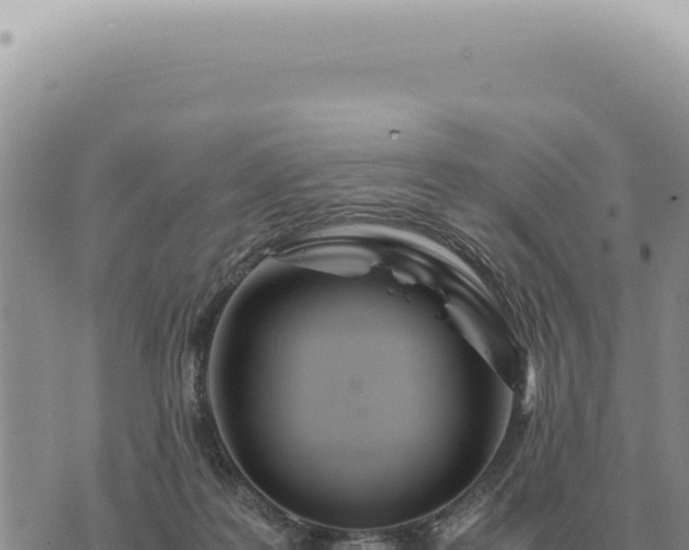 X0000073720219200608101912