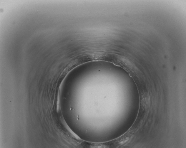 X0000073720221200608101912