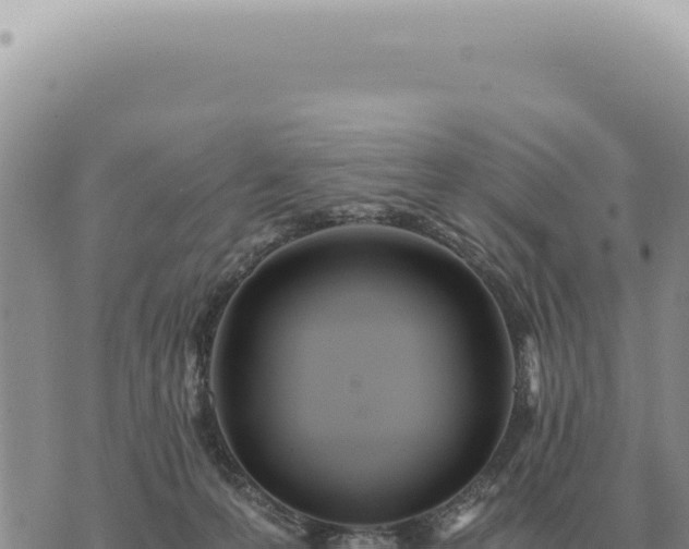 X0000073720223200608101912