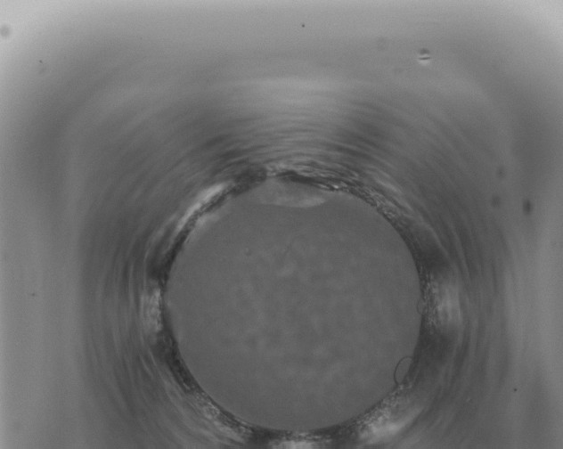 X0000073720224200608101912