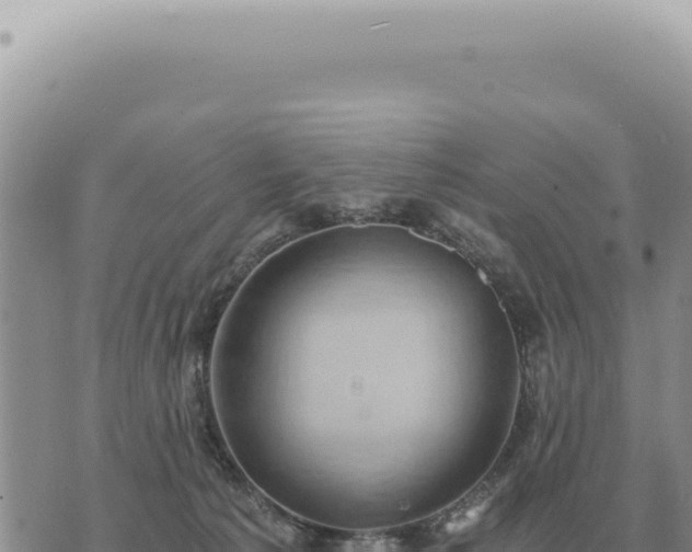 X0000073720225200608101912