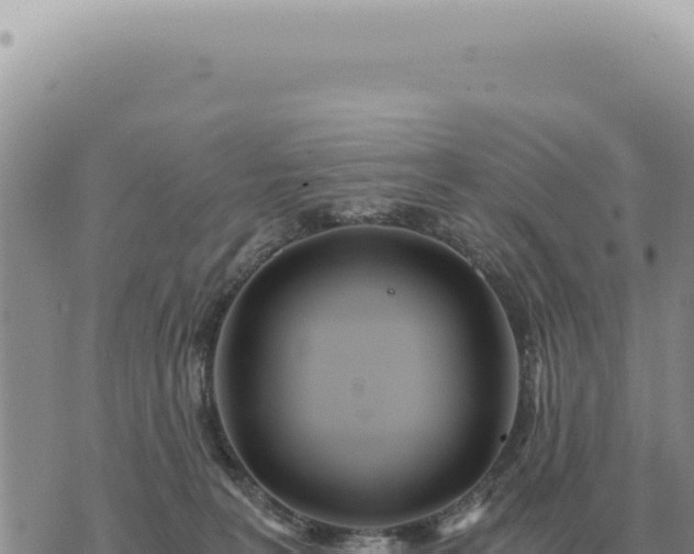 X0000073720227200608101912