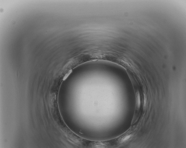 X0000073720229200608101912