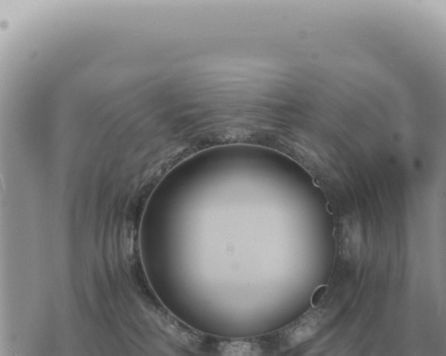 X0000073720230200608101912