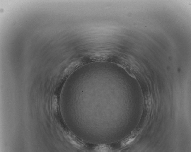 X0000073720231200608101912