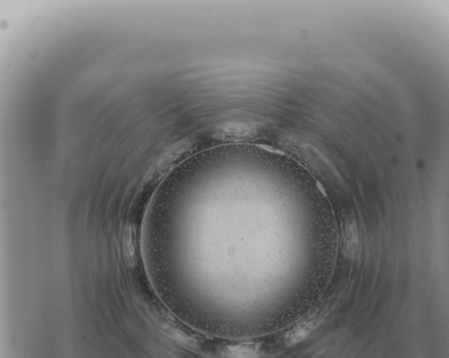 X0000073720232200608101912