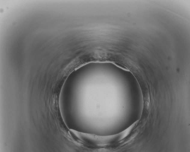 X0000073720233200608101912