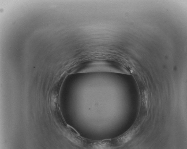 X0000073720235200608101912