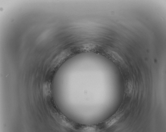 X0000073720236200608101912