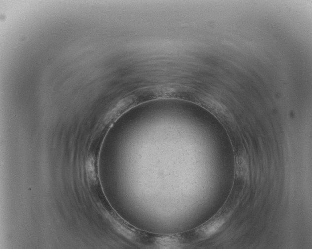 X0000073720238200608101912