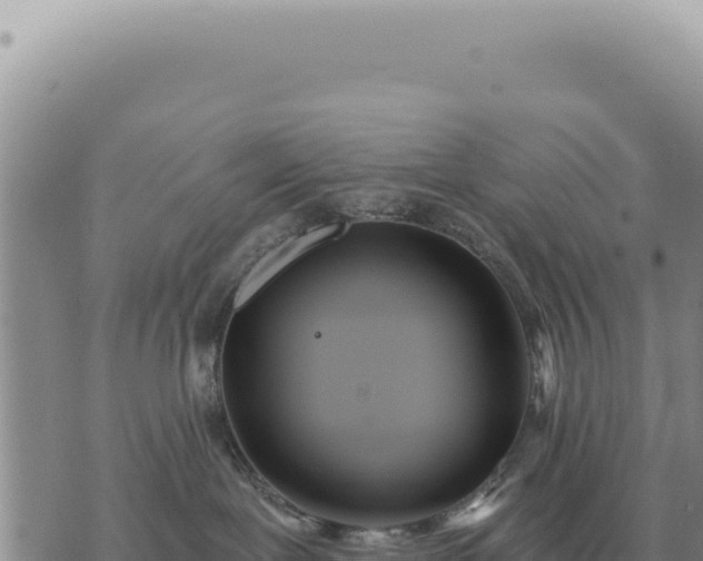 X0000073720239200608101912