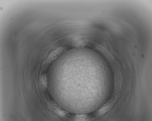 X0000073720240200608101912