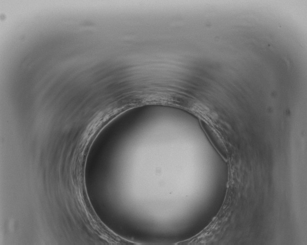 X0000073720241200608101911