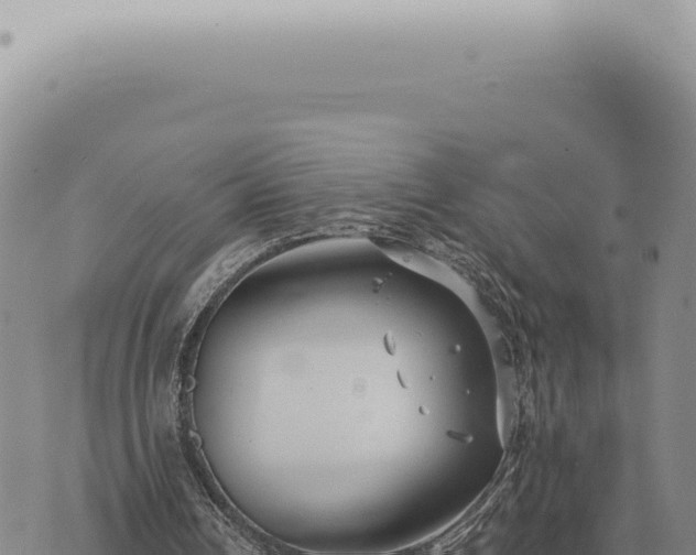 X0000073720242200608101911