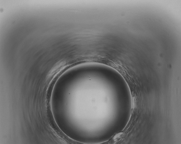 X0000073720243200608101911