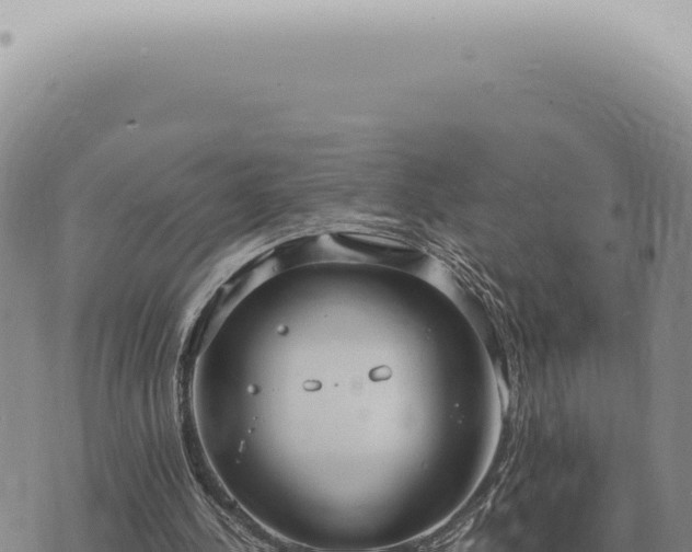 X0000073720244200608101911