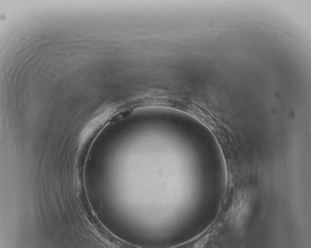 X0000073720245200608101911