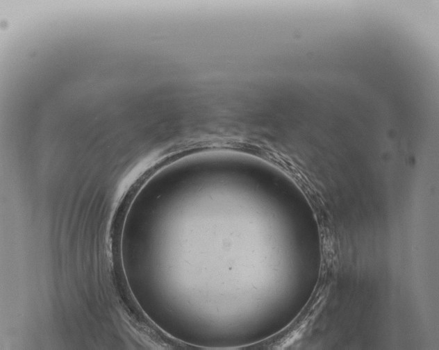 X0000073720246200608101911