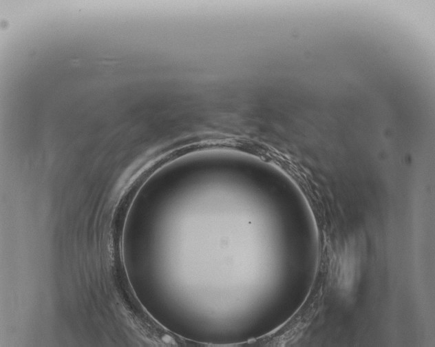 X0000073720247200608101911