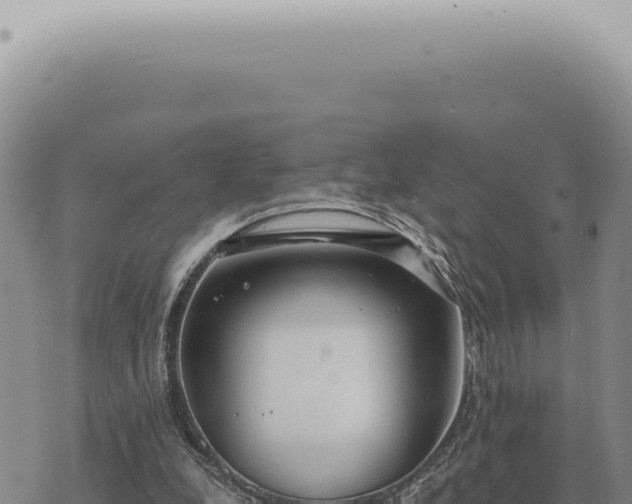 X0000073720248200608101911