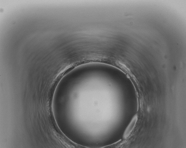 X0000073720249200608101911