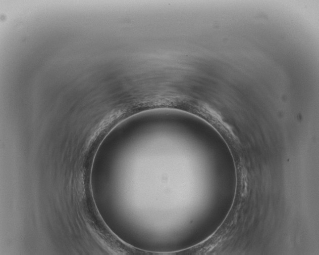 X0000073720250200608101911