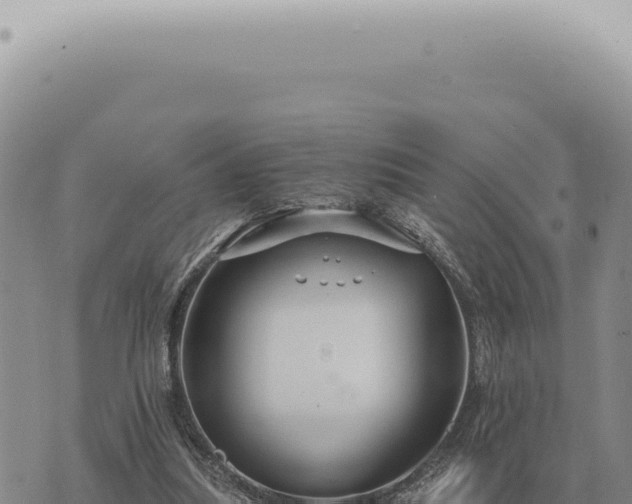 X0000073720251200608101911