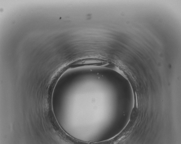 X0000073720252200608101911