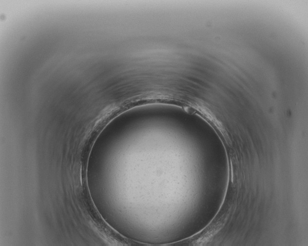 X0000073720253200608101911