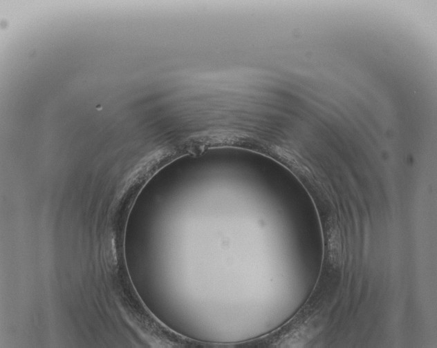 X0000073720254200608101911