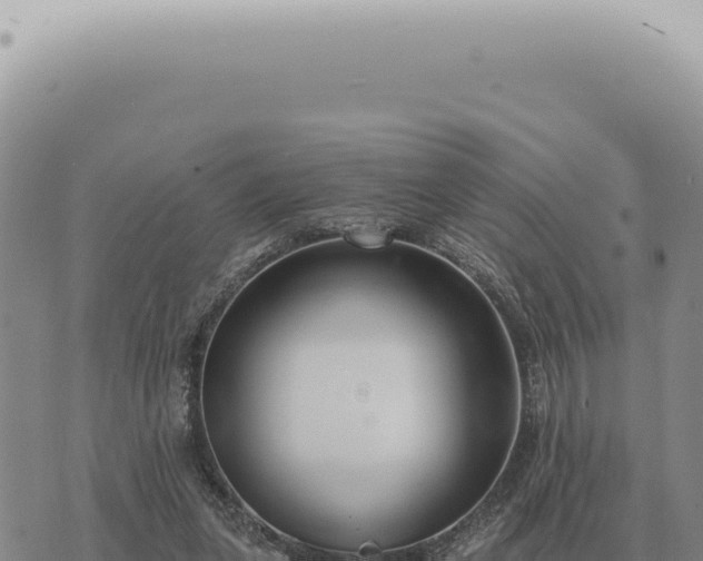 X0000073720255200608101911