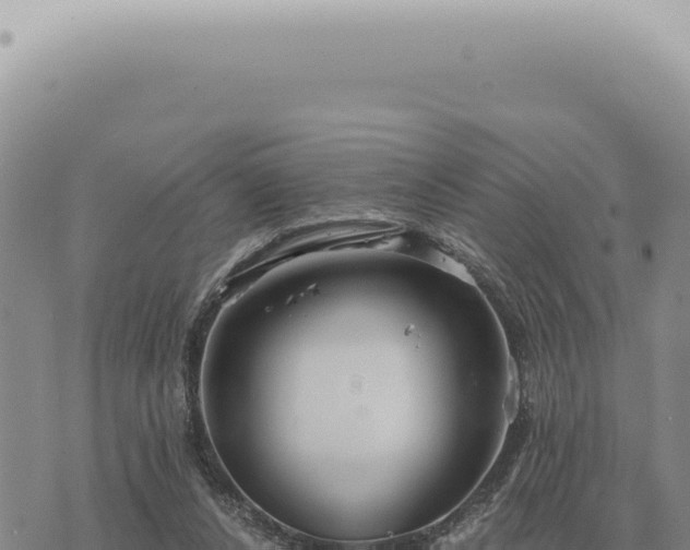 X0000073720256200608101911