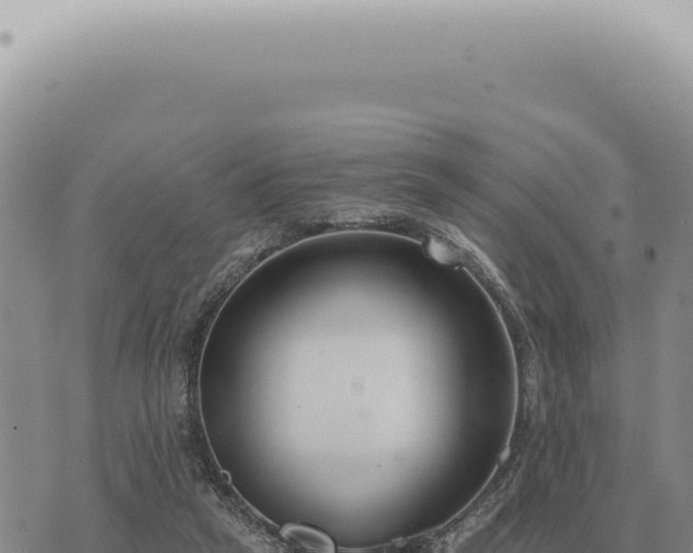 X0000073720257200608101911