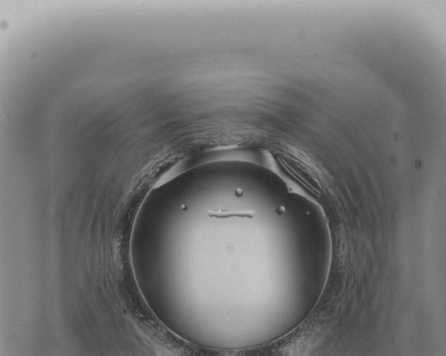 X0000073720258200608101911