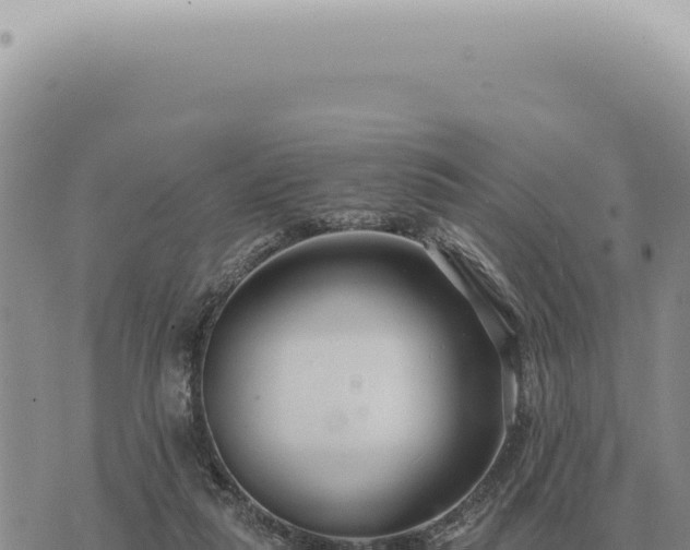 X0000073720259200608101911