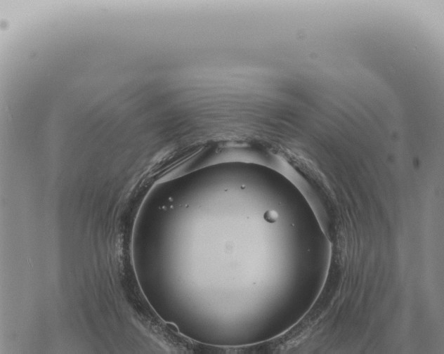 X0000073720260200608101911