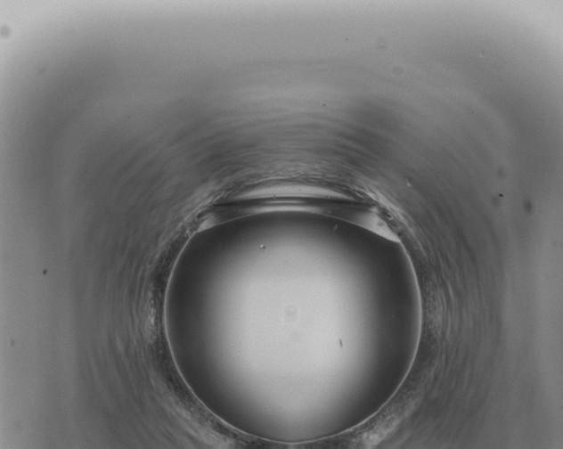 X0000073720261200608101911