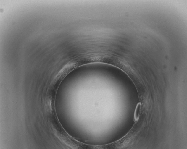 X0000073720262200608101911