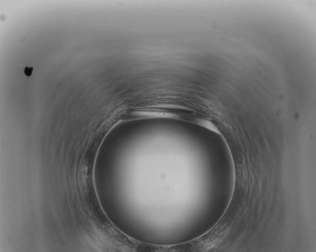 X0000073720263200608101911