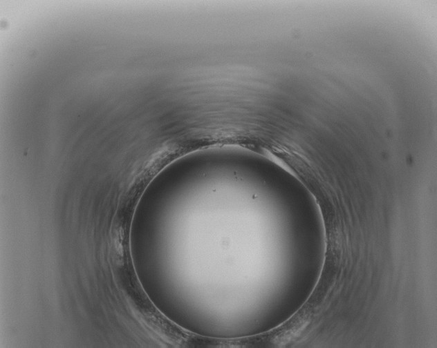 X0000073720264200608101911