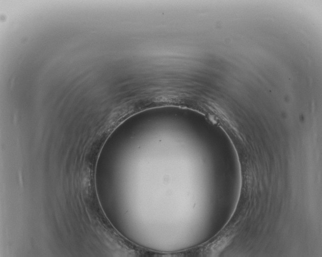 X0000073720265200608101911