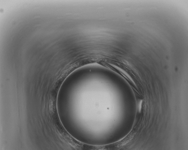 X0000073720266200608101911