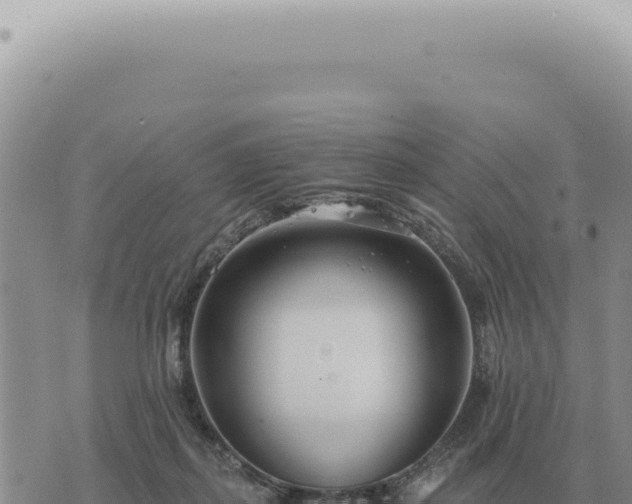 X0000073720267200608101911