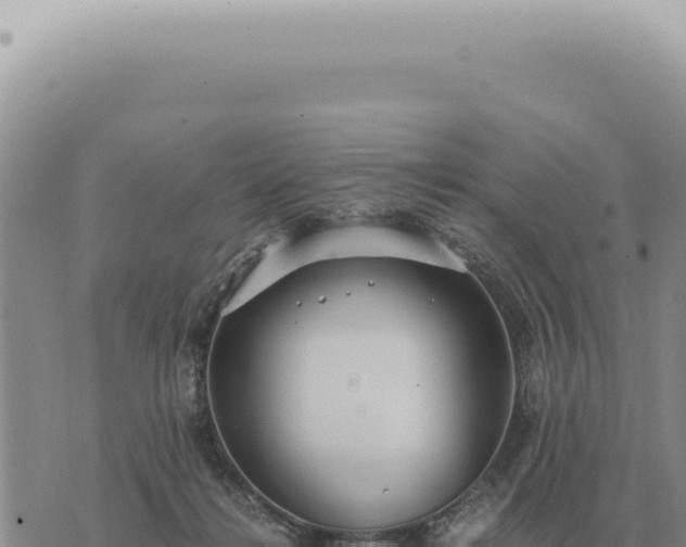 X0000073720268200608101911